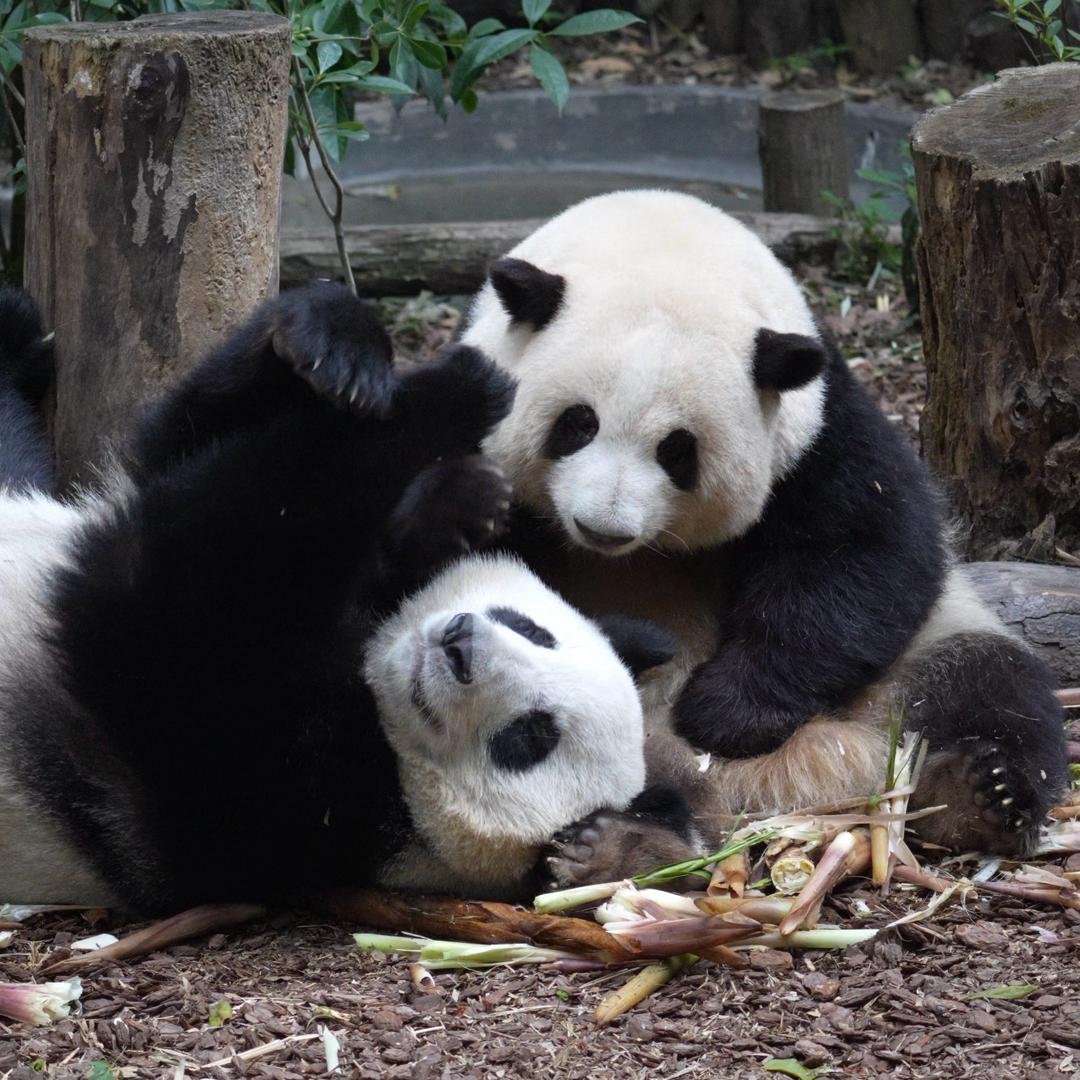 是源不是圆会中奖 超幸运🌸🍀