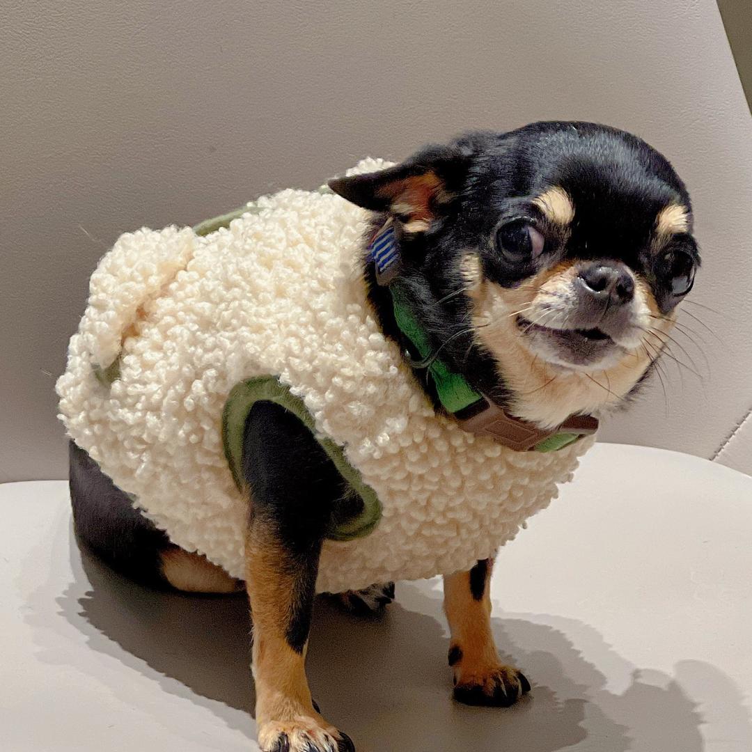 阿拉蕾用品严选
