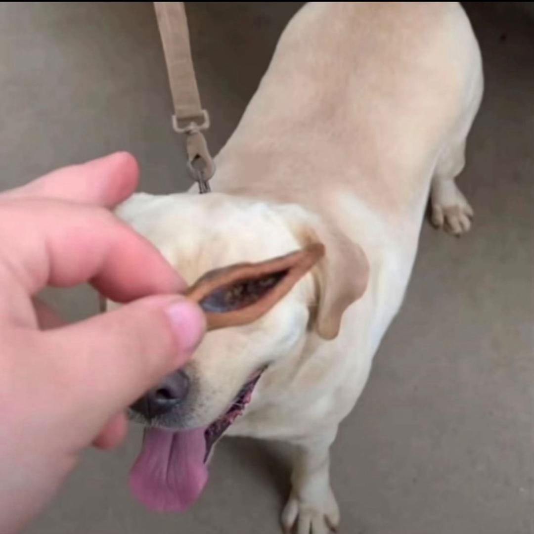 111