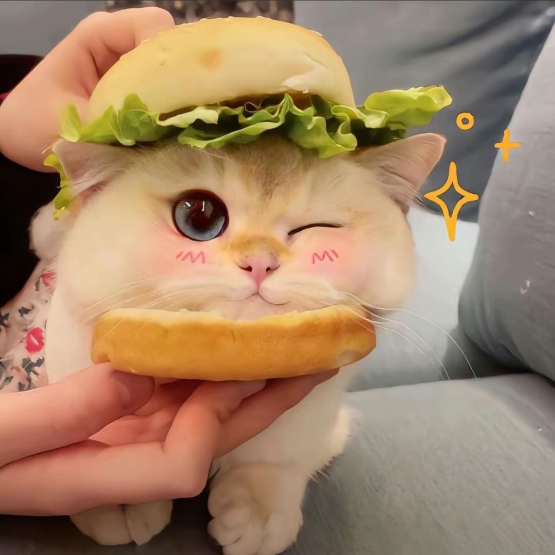 小小兔