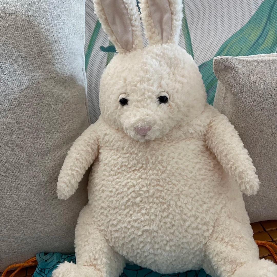 (   :∇:)我太难了