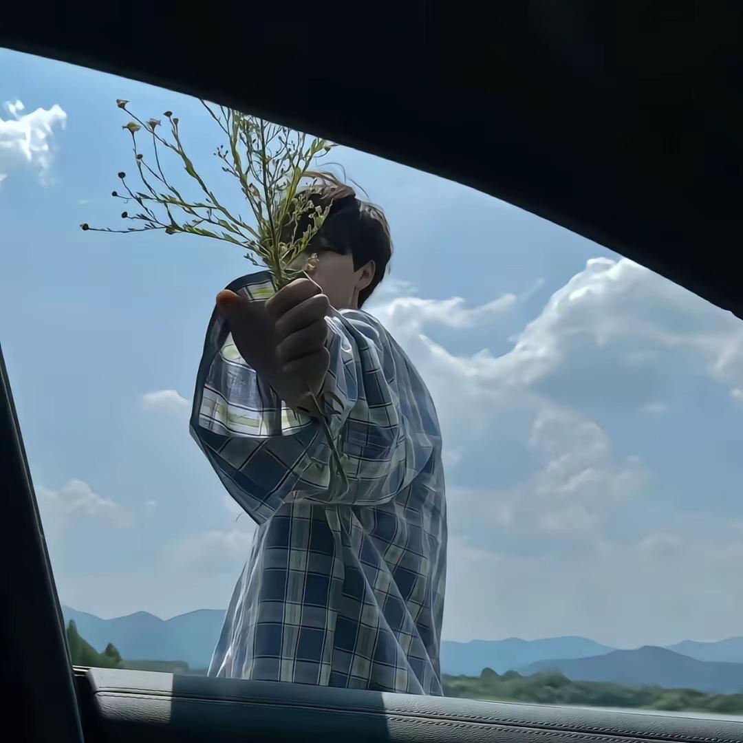 朝颜辞忧