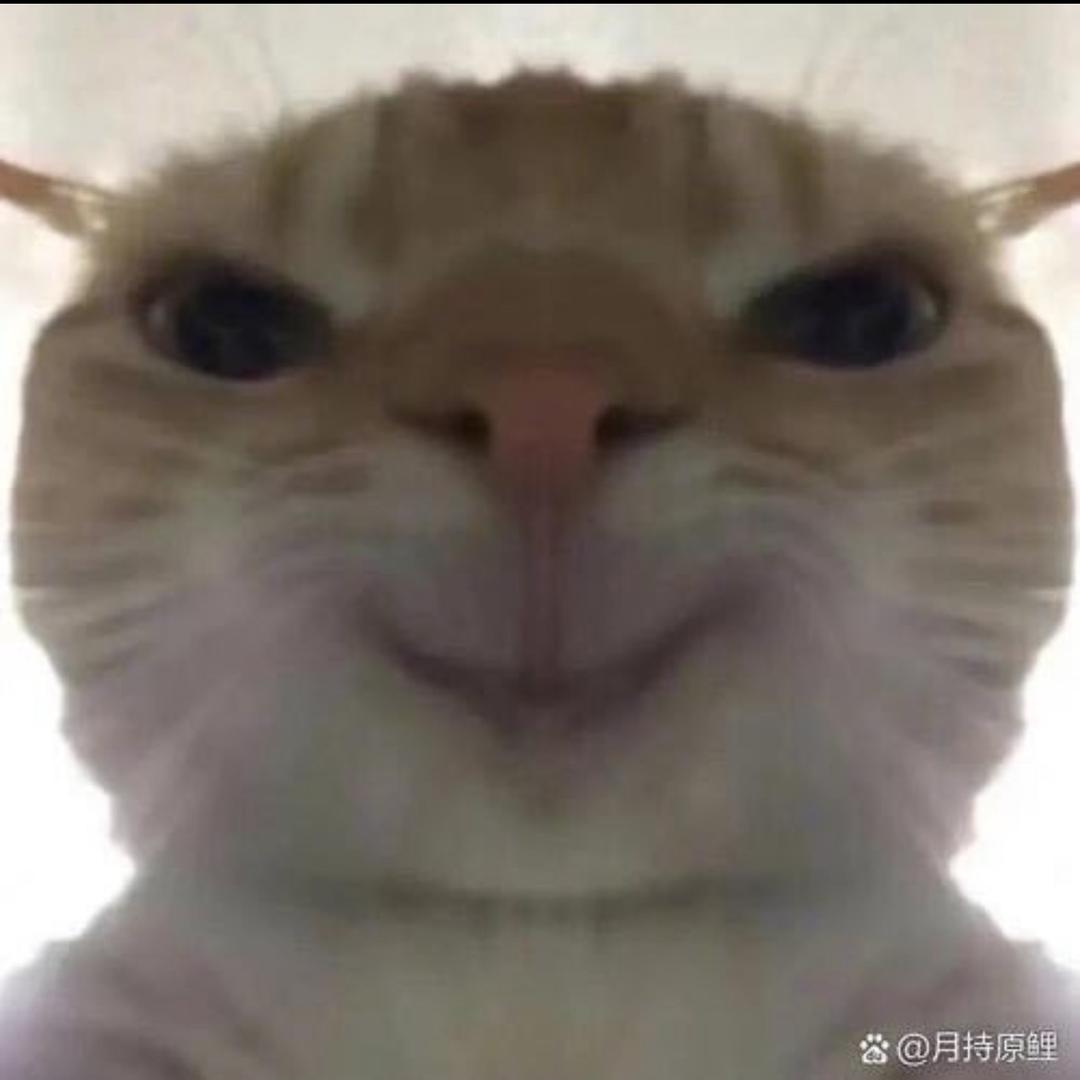 谢浩宇