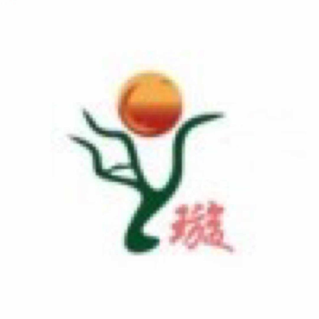 郑璇