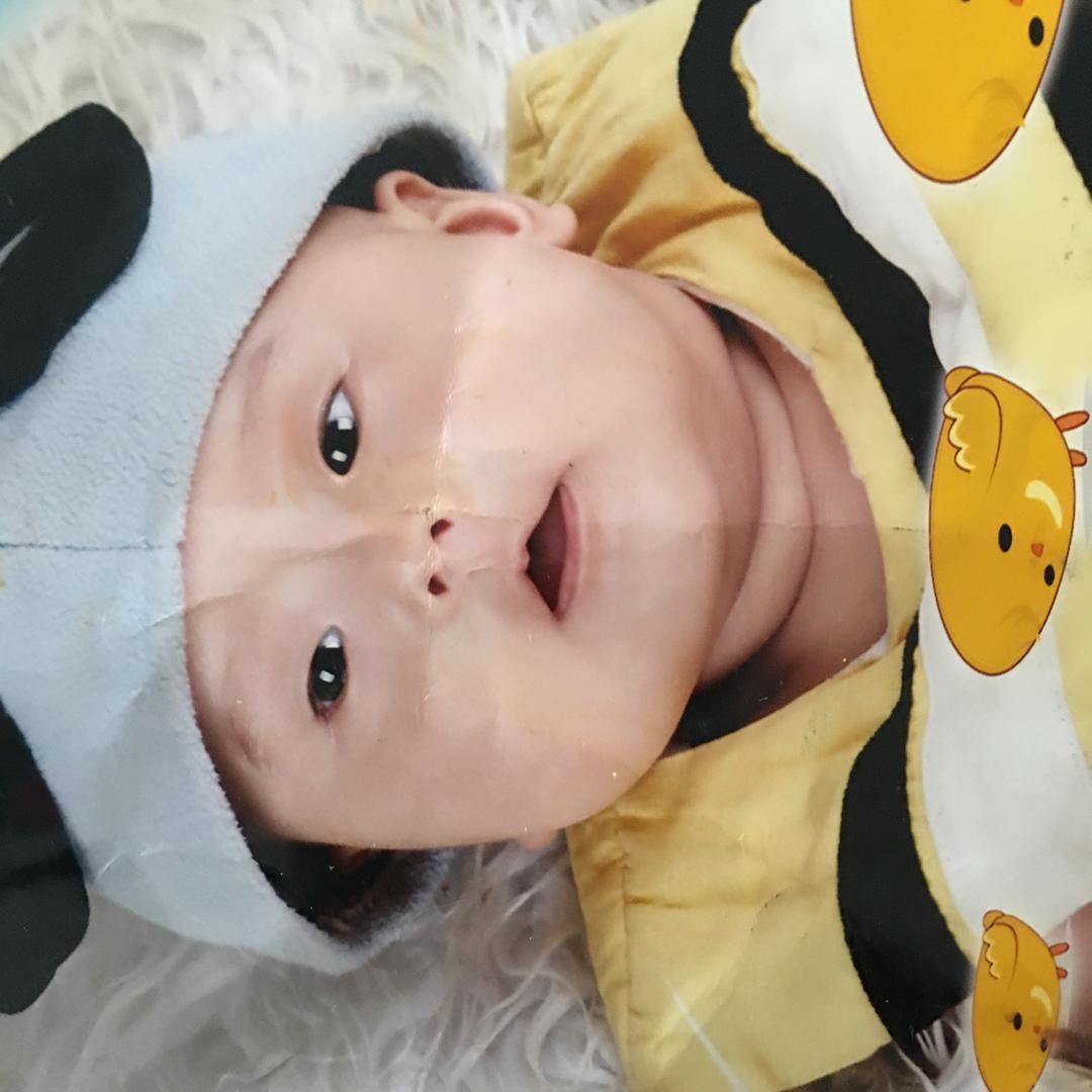 小兔子的萝卜