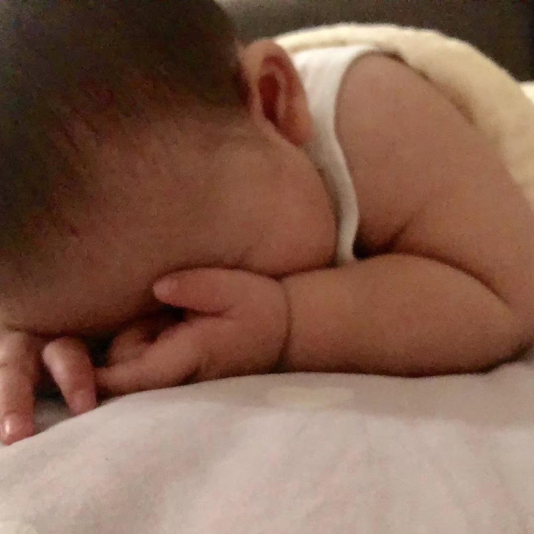 多肉的baby