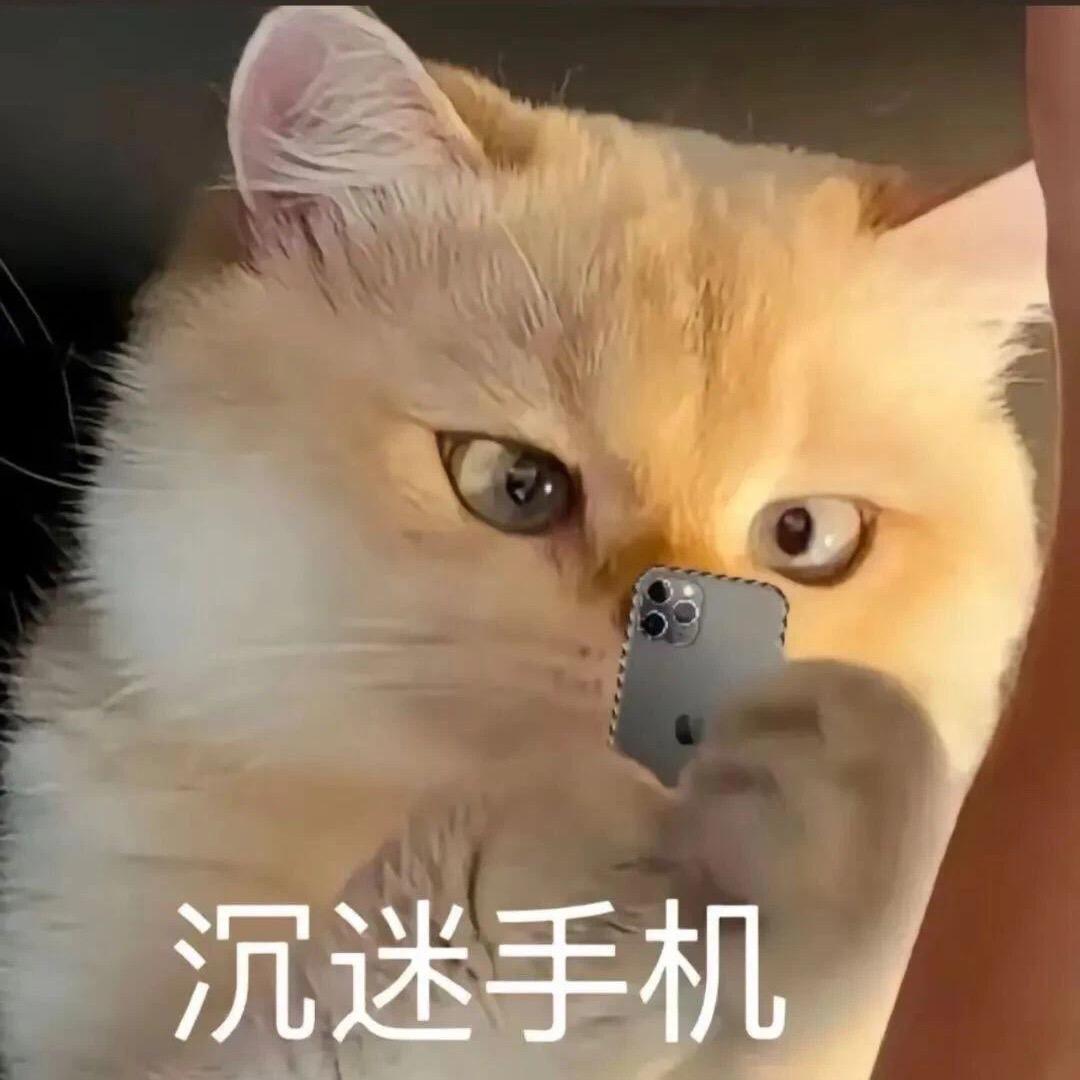 吃土豆长大的马玲薯