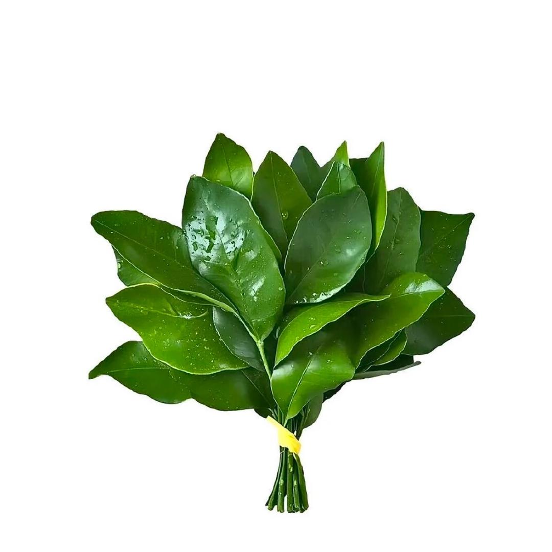 奋斗