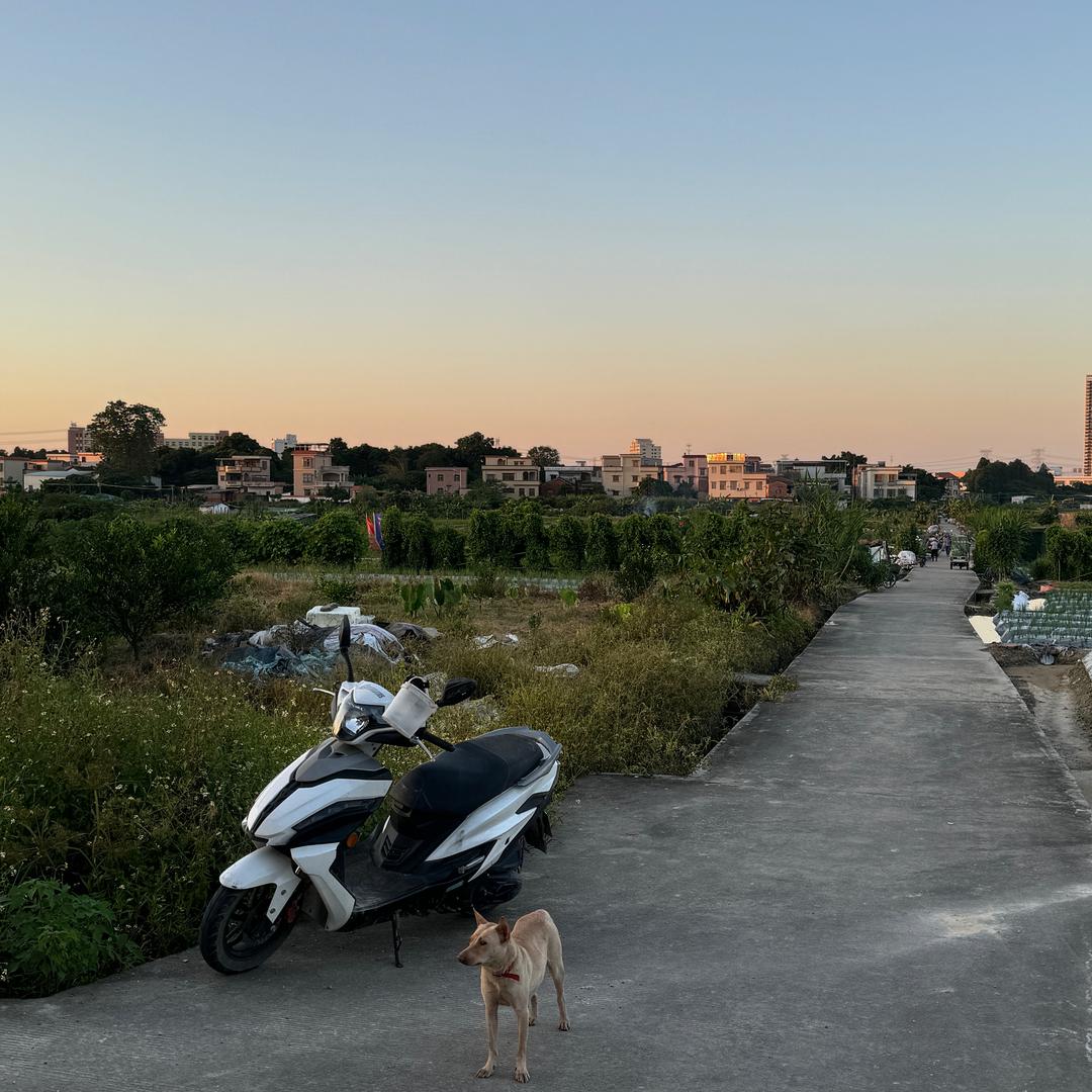 天乐咨询服务 业务莉莉