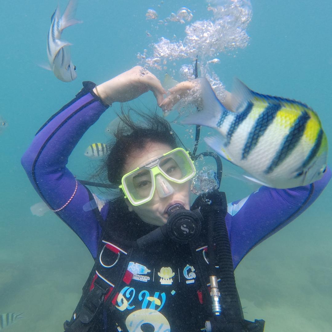 @张家口森鹰铝包木@维盾门窗