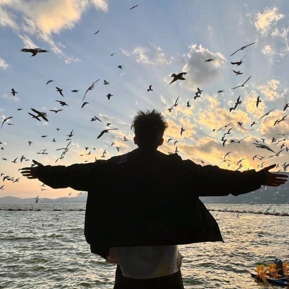 fly..