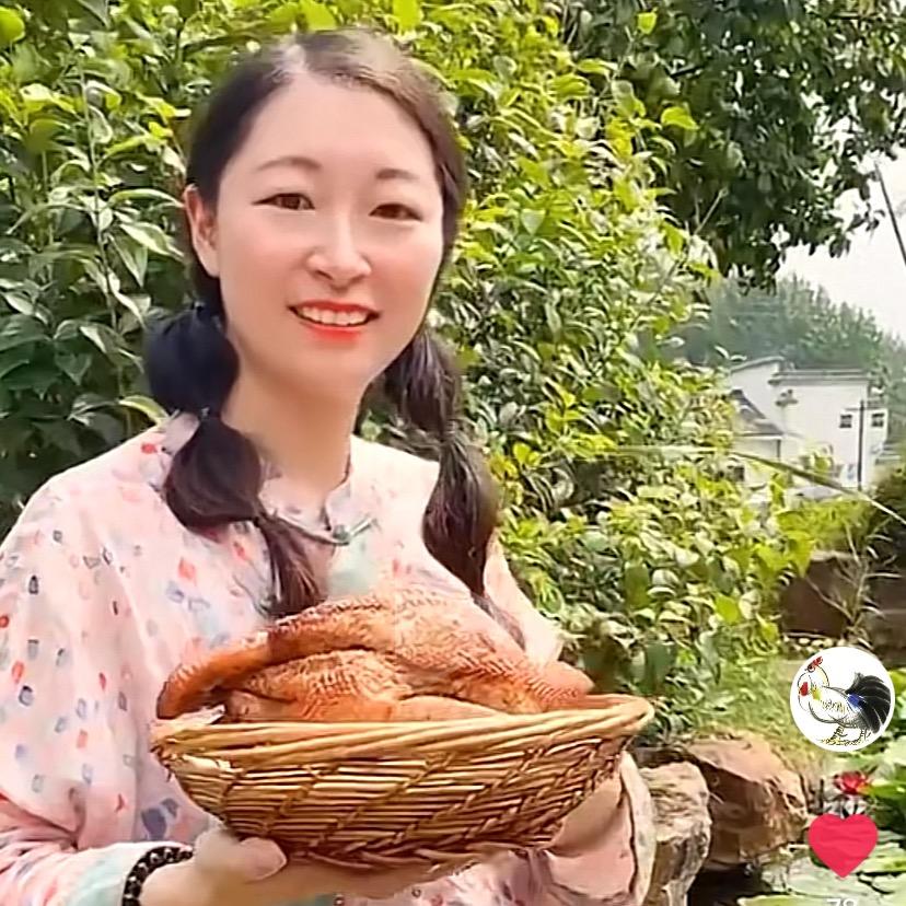 卖烧鸡的姑娘(烧鸡姐)
