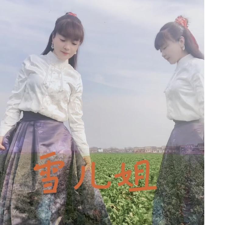 雪儿姐