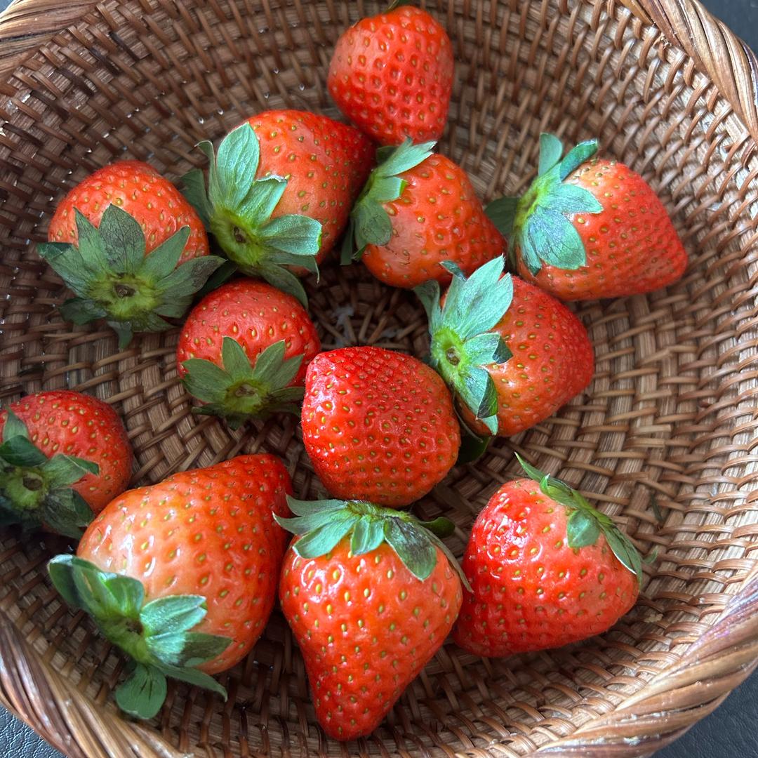 自由自在的尘埃