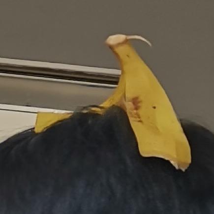 娱乐一到五