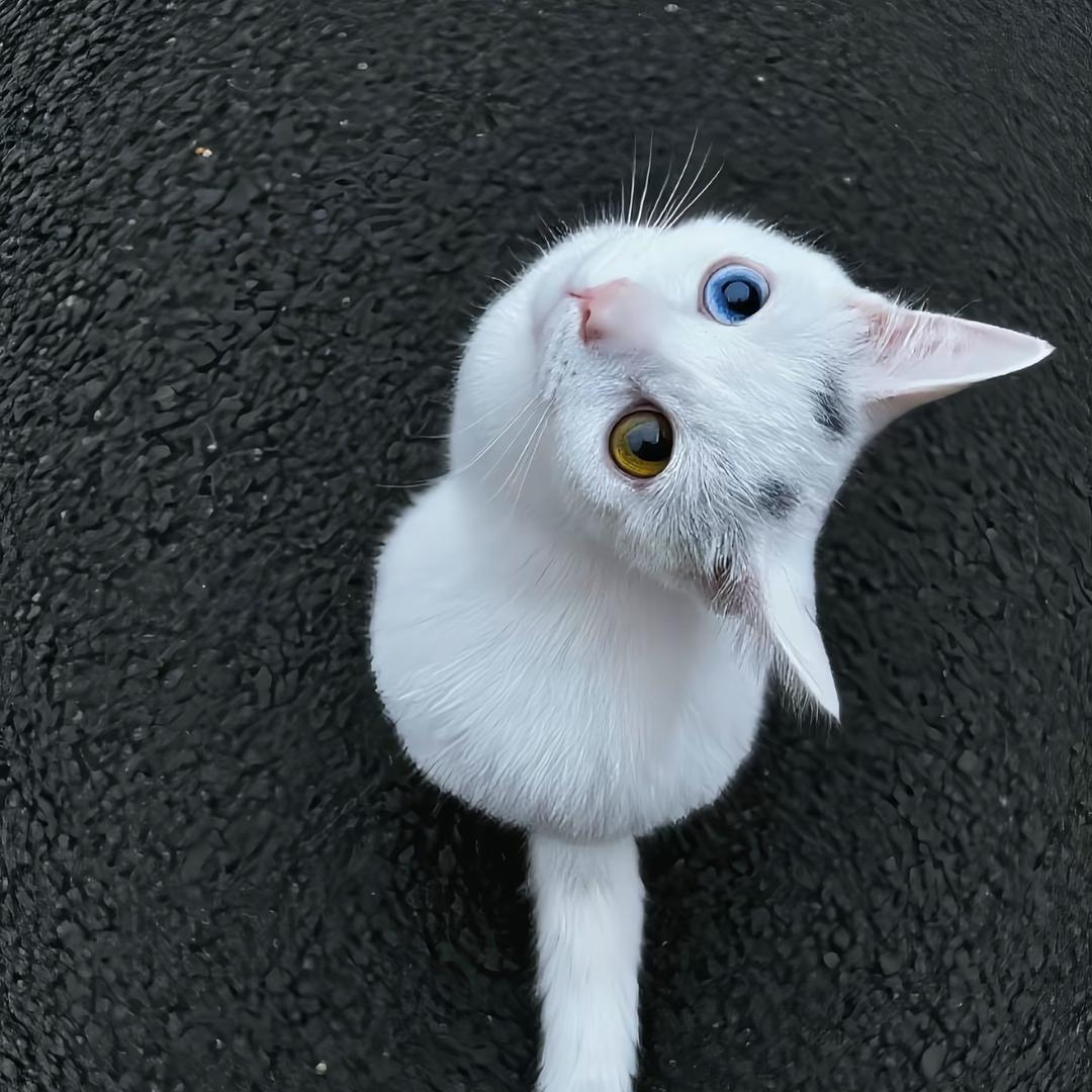 你17岁时的勇气到哪里去了