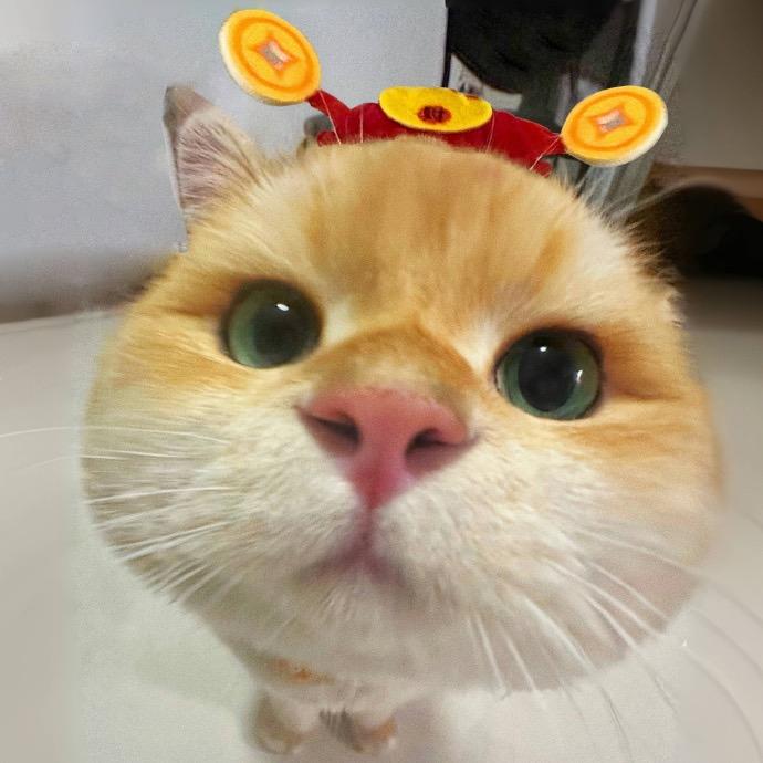 🌈夏冬春🌈