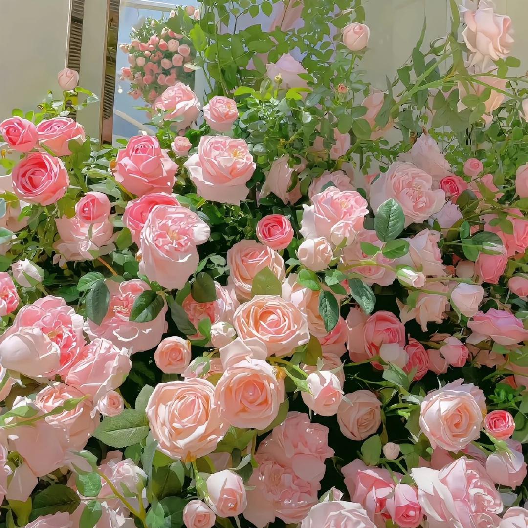 @春春