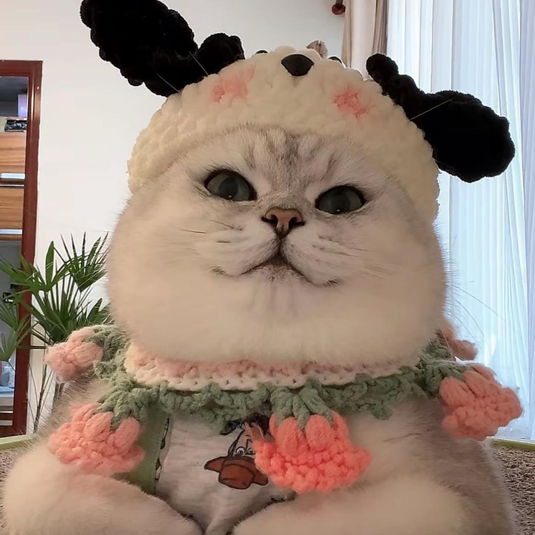 纯情