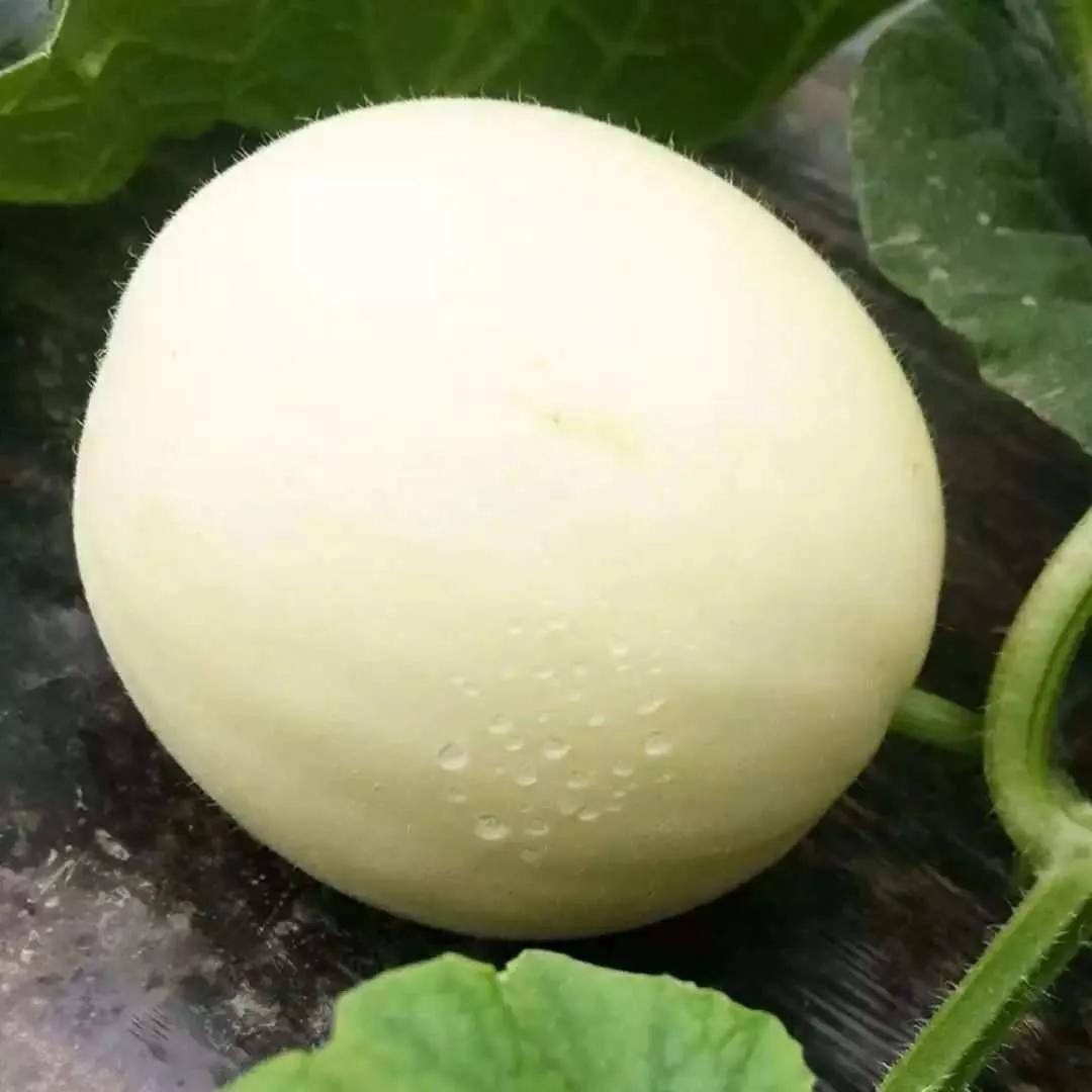 嚯嚯优选