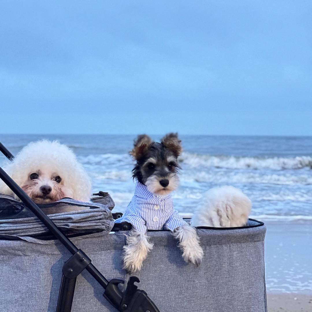 熙仔❄️(新疆禾木约课)
