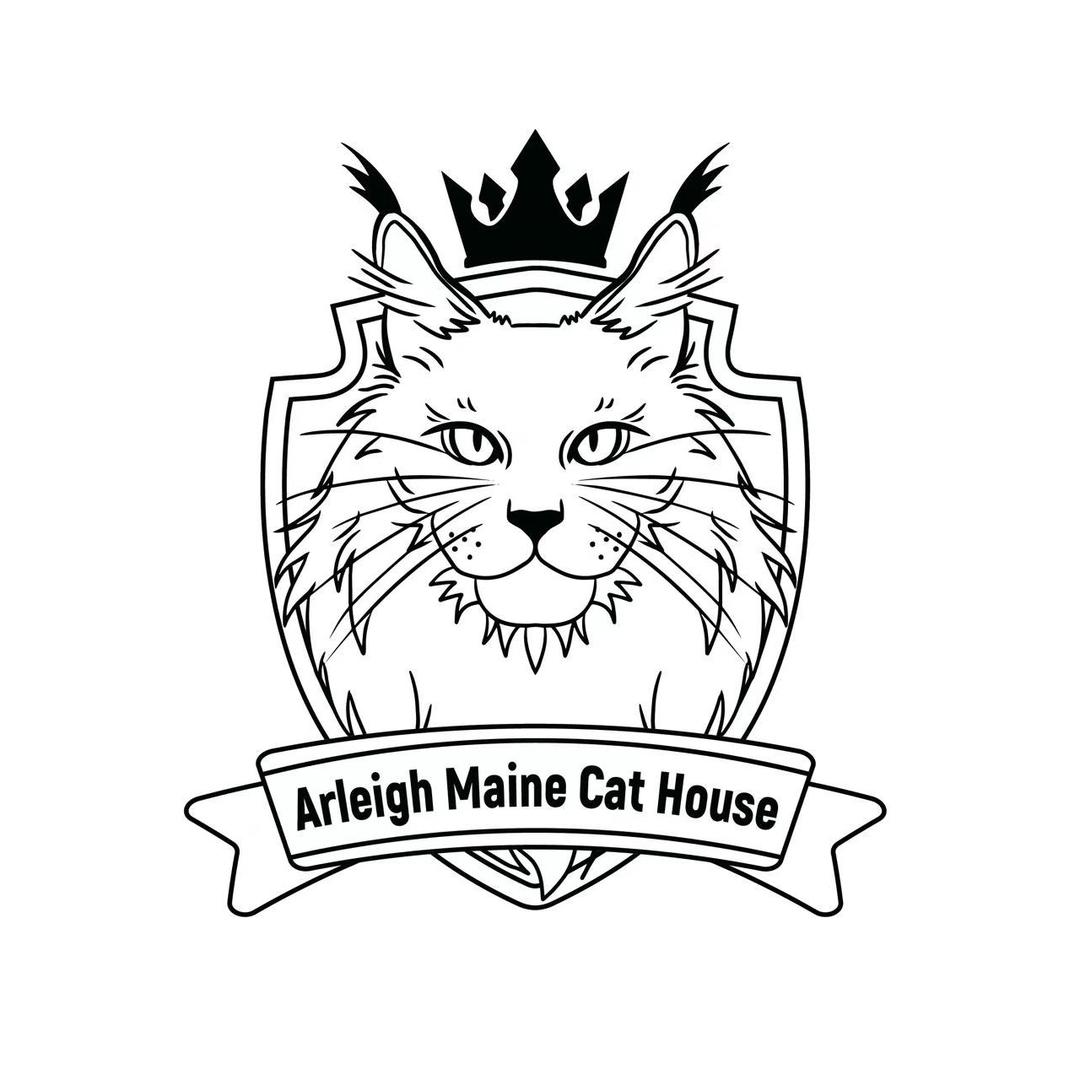 山屿海缅因猫咖