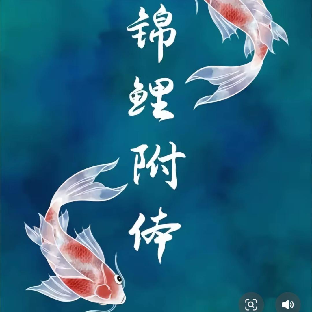 🎣常爆护