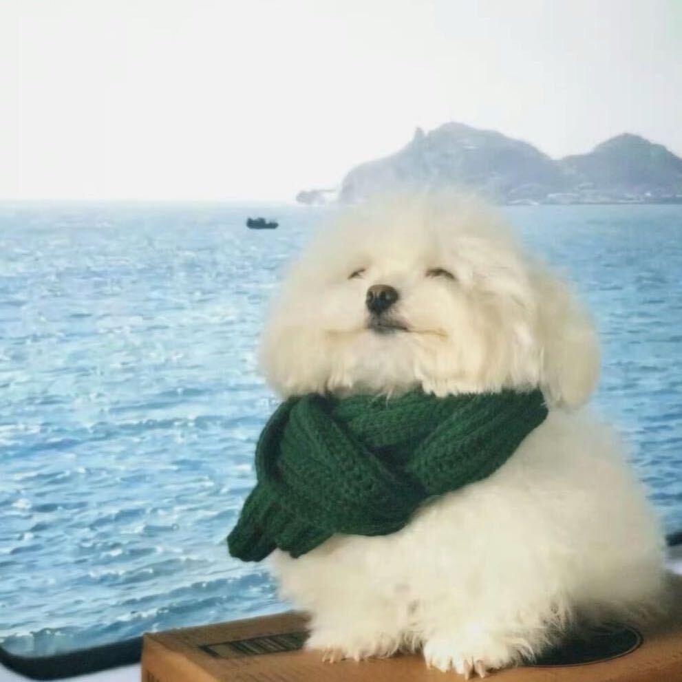 你管我呢