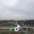 悟空1头像