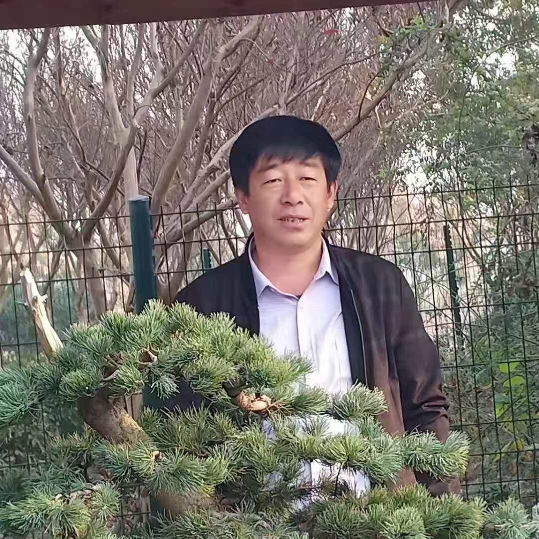 锡杖河农场