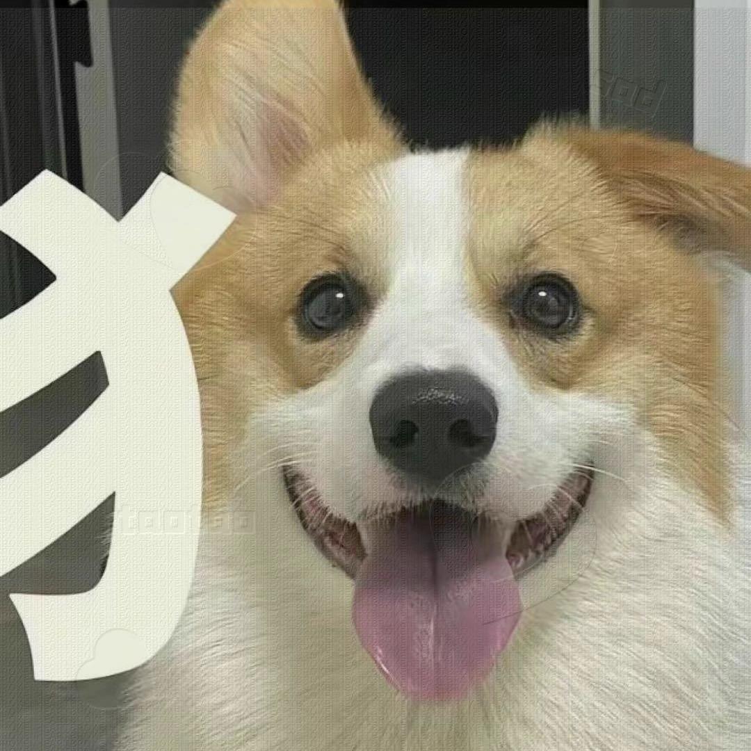 wzh