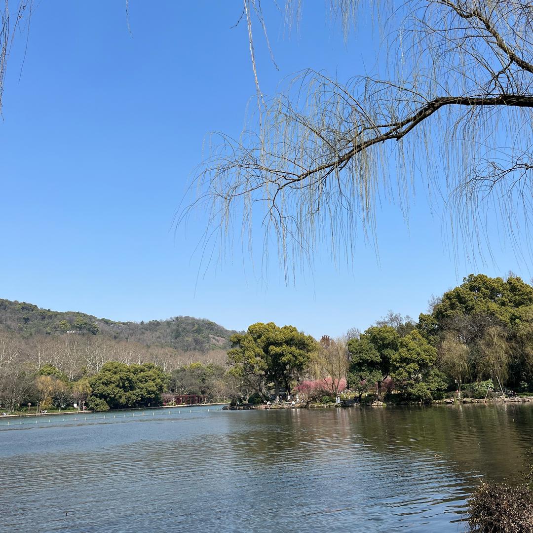 圣豪正能量