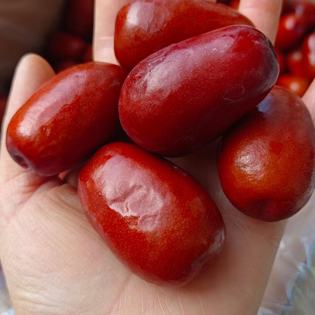 柳林枣尚好土特产