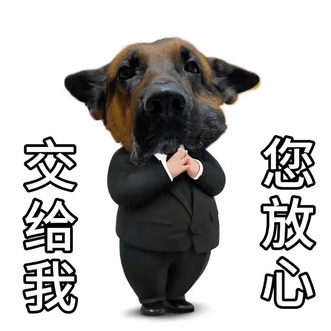 中德之星-大班长