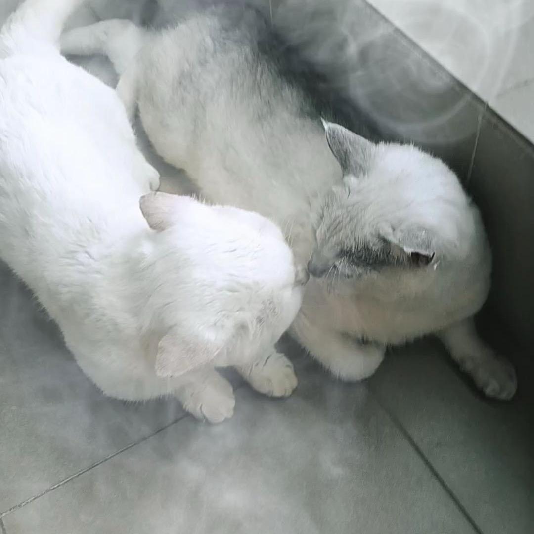 下一站