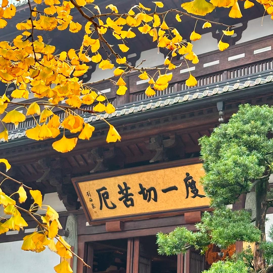 庆云领渝唯优质选品