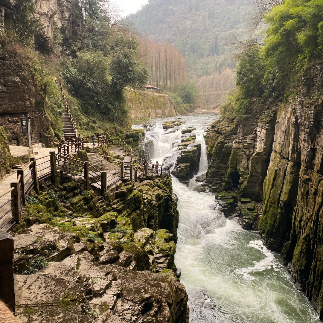 🏇🏻风扬帆(福)