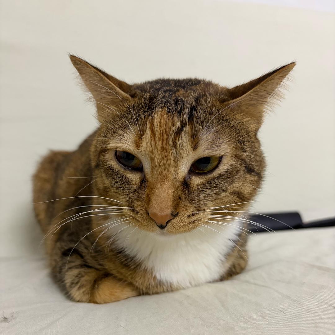 三年二班周同学