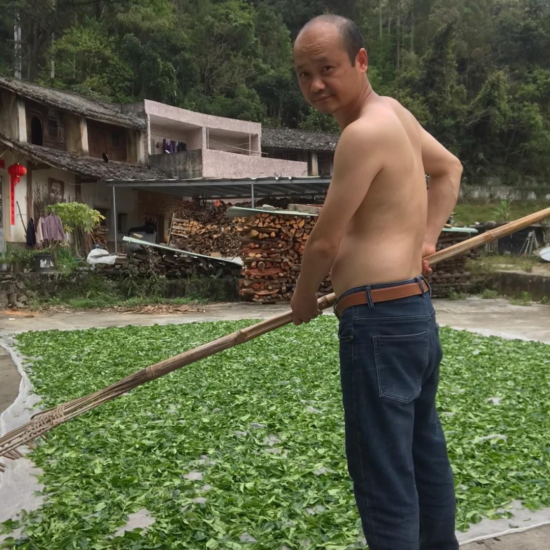 种茶人啊委、喜尚啊委