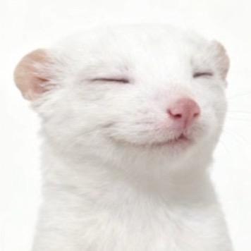 䮰