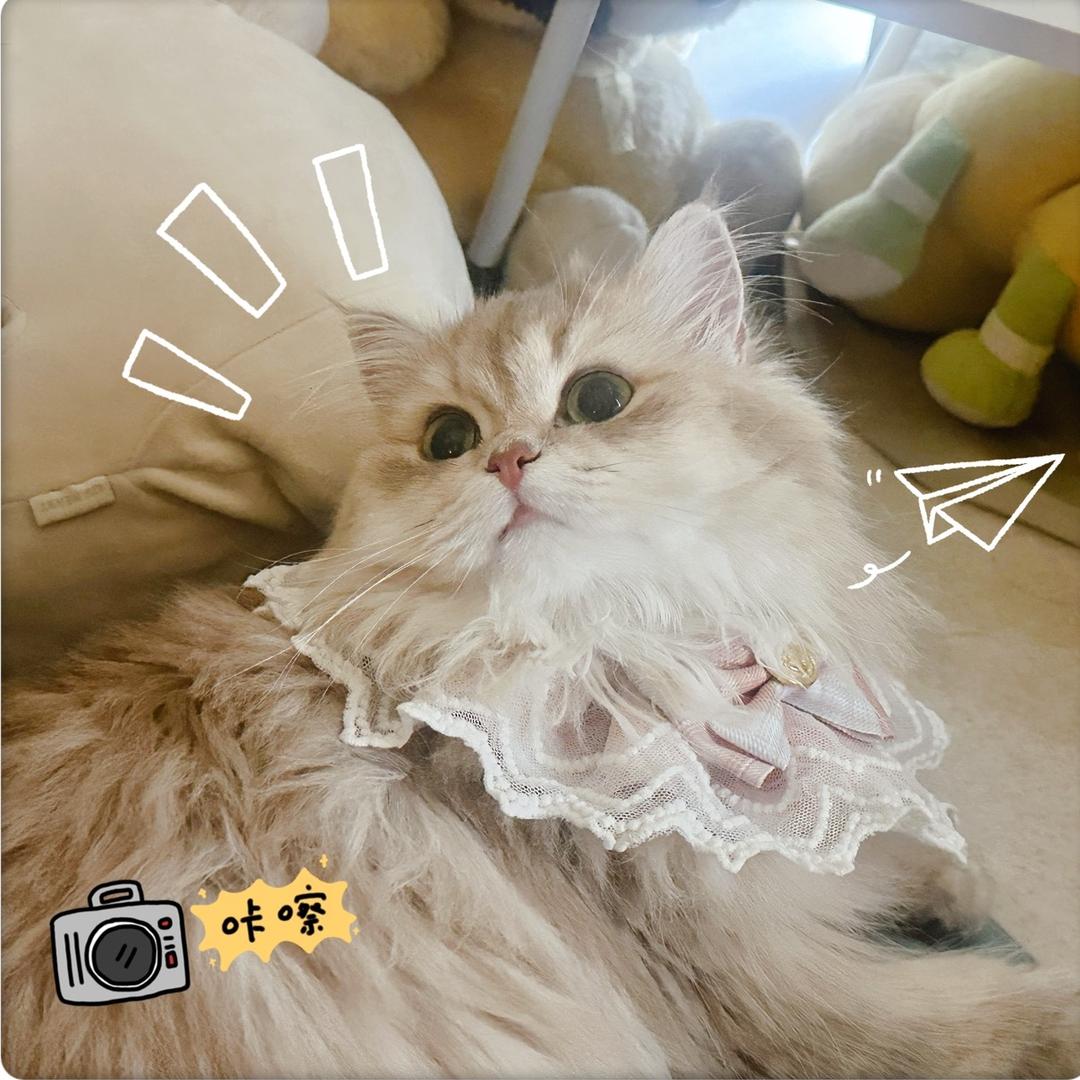 💌阿v..头像