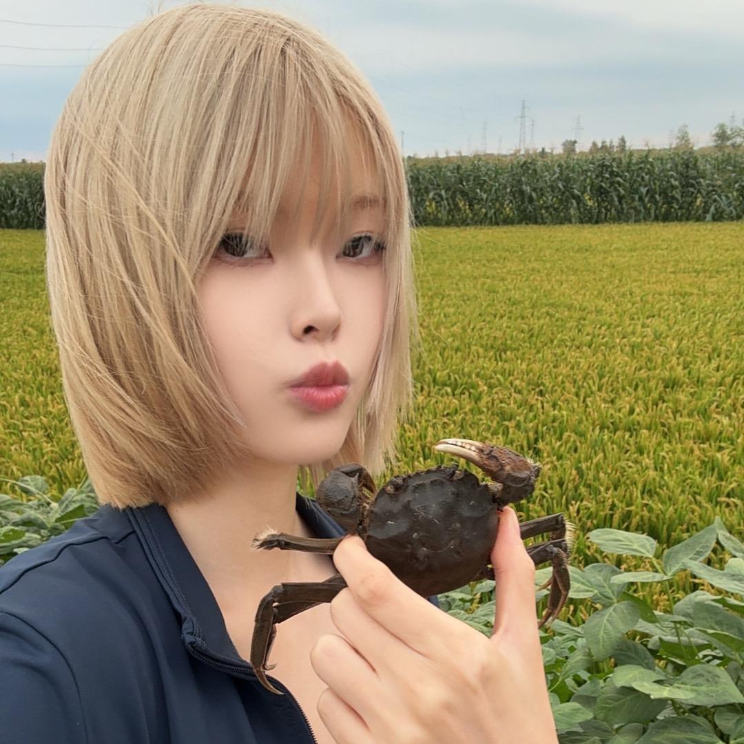 只只爱吃蟹