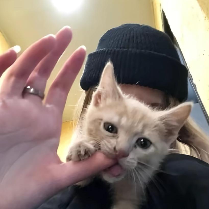 我有什么错