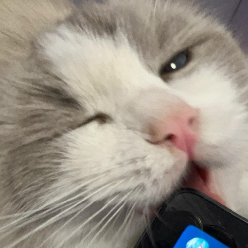 十一