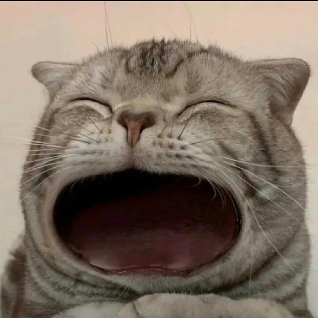 呜呼~