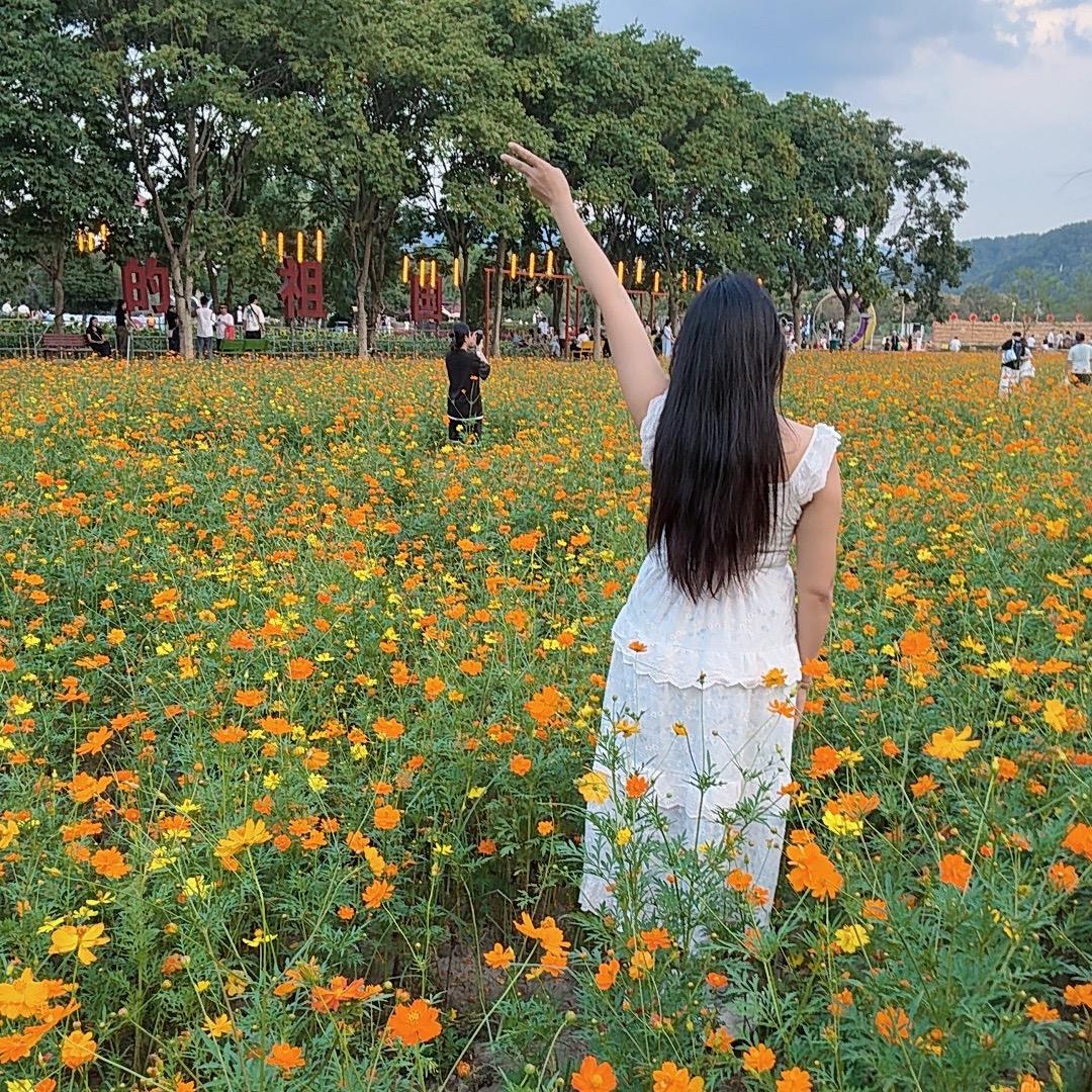 💐小丽萍