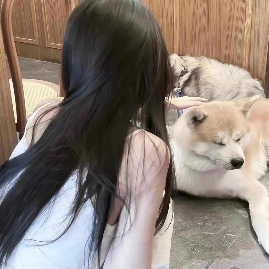 🧸。