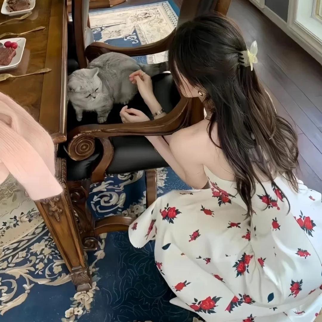 布丁热狗