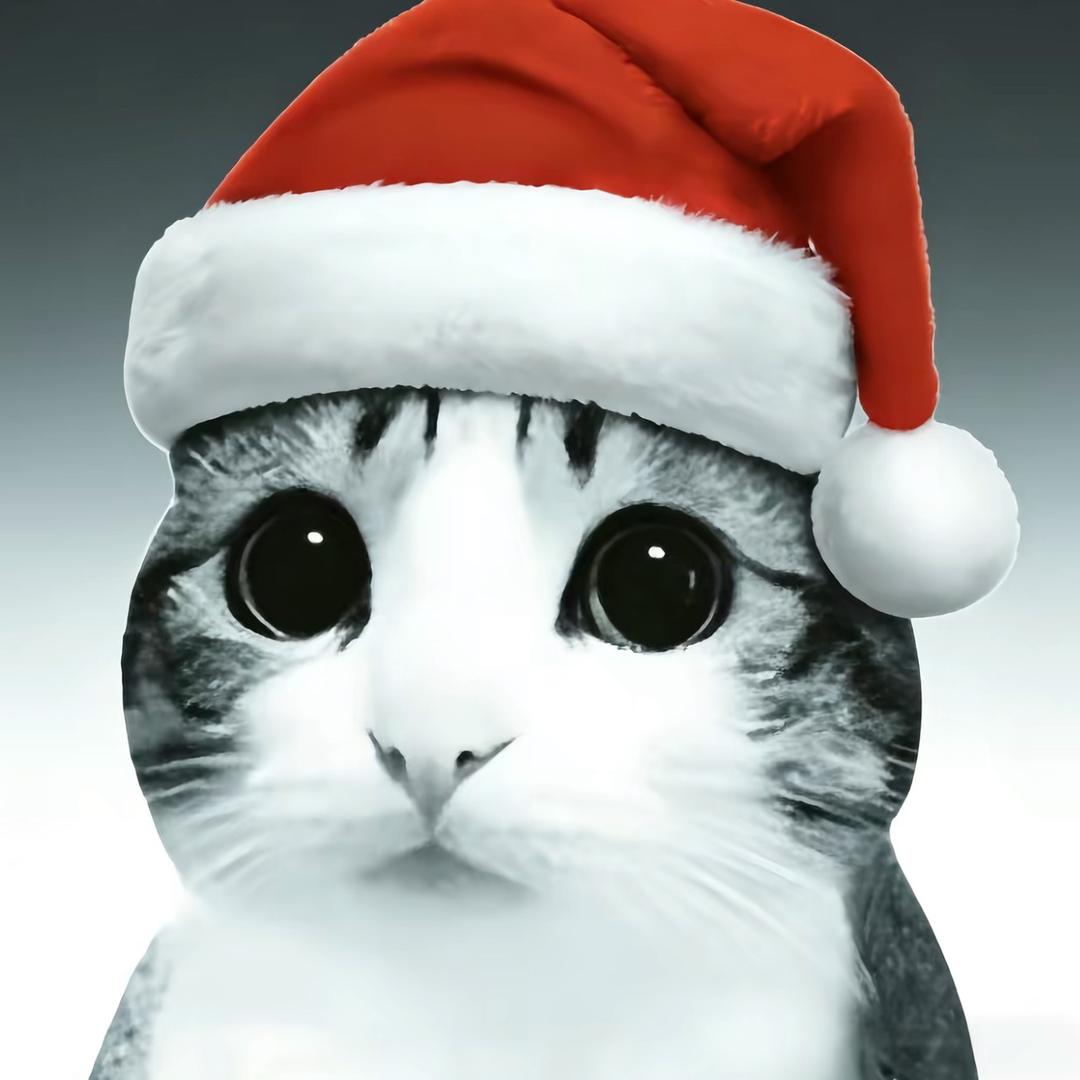SEA.🎄