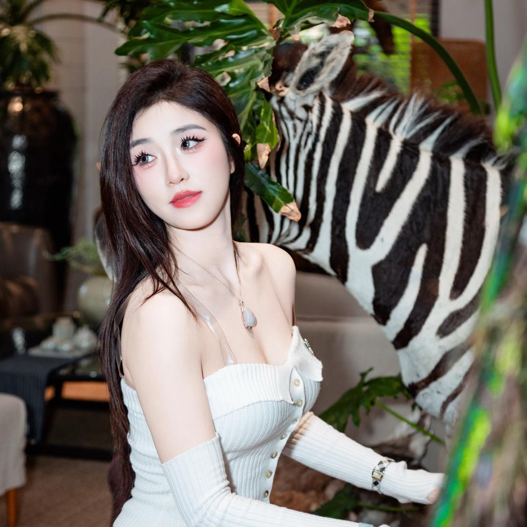 陈昭昭²¹¹🐰（中午11:00开播）